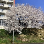 IMG_3009.jpg